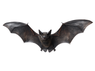 Flying bat