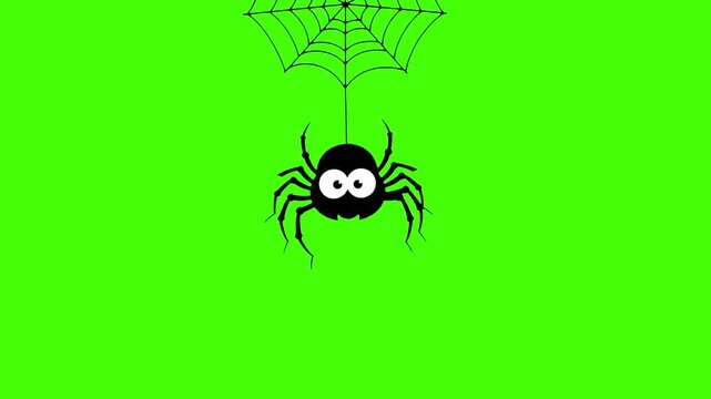 Cute Cartoon Spider Dangling on Web Green Screen Chroma Key Footage for Halloween VFX