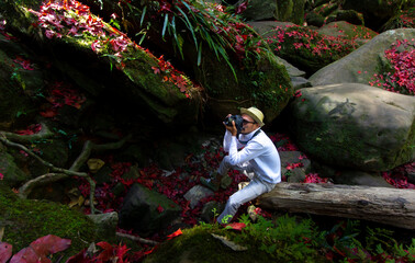 autumn with red maple leaves on the rock and man sitting on old wood and take a photo during travel on Phu Kradueng National Park, Loei province,Thailand