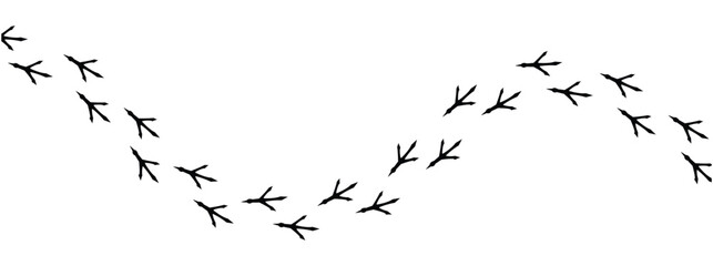 Сhicken trail, bird tracks footprints, path isolated, paw print, animal tracks. Paws, chicken tracks, diagonal path of chicken tracks, vector black silhouettes. Scatter seamless pattern in eps 10.