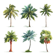 Tropical palm tree illustration isolated on white background