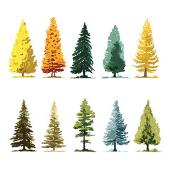 Obraz premium Single pine tree illustration on white background