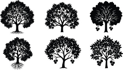 Fruit tree silhouette, black and white illustration, orchard design element, botanical sketch art, abstract foliage drawing, decorative nature background, educational graphic resource