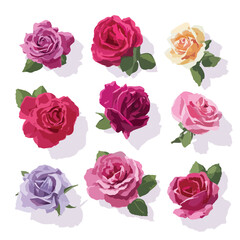 Naklejka premium Elegant rose illustration on a clean white background
