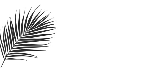 black and white background