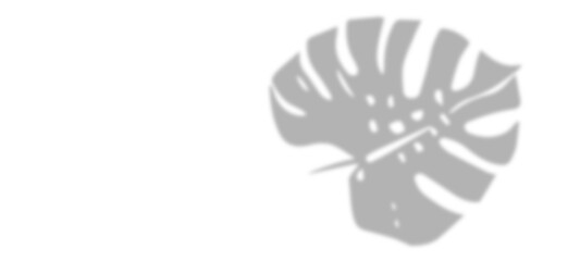 human skull isolated on white