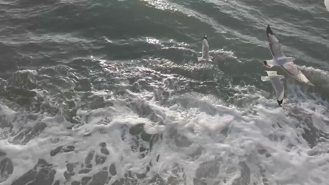 Seagulls soaring over choppy ocean waves with white foam and sunlight glinting on water surface
