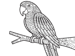 Detailed parrot illustration isolated on white background for coloring book