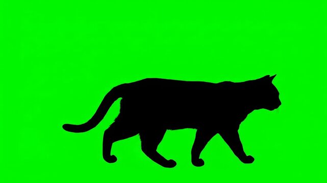 black panther on a green background