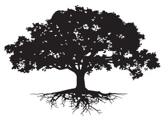 Fototapeta premium Striking Black Illustration of a Dark Oak Tree Anchored by Roots