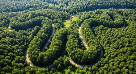 Serpentine Road Winds Through Lush Green Forest Landscape From Above