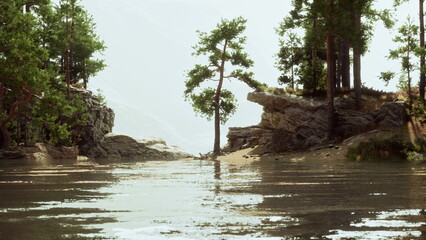 Fototapeta premium Calm waters mirror lush greenery as trees stand tall near rocky shores. This peaceful location invites relaxation and admiration of natures simple elegance during daylight.