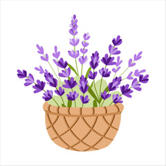 Flat vector illustration of a wicker basket filled with lavender flowers on a white background. Provence-style design for packaging, posters, prints, cosmetics branding, spa, botanical decoration.

