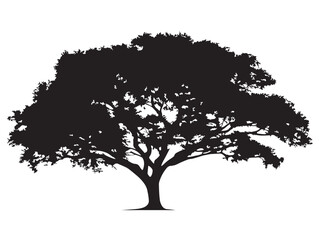 Fototapeta premium Beautiful Elm Tree With Delicate Branches Solid Black Illustration