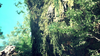 Sunlight filters through vibrant foliage as vines cascade down a rugged cliffside. This tranquil scene captures the natural beauty of a peaceful outdoor spot.
