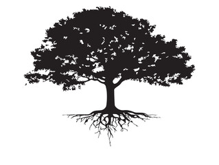 Fototapeta premium Exotic Tree With Unique Root Structure Solid Black Silhouette Art