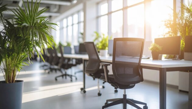 Empty modern coworking space with plants and ergonomic chairs, morning light, no people