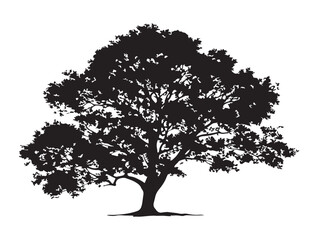 Fototapeta premium Forest Maple Tree With Classic Leaf Shape Black Silhouette Art