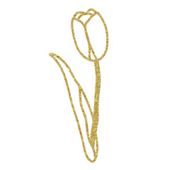 Tulip golden texture flower on a transparent background.