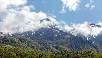 Mountain range with snow on the top and trees in the foreground