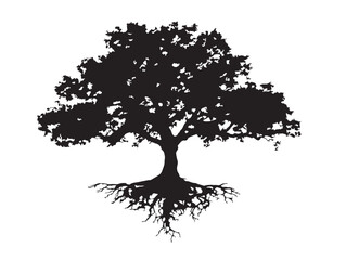 Fototapeta premium Forest Tree With Extensive And Deep Root System Black Silhouette
