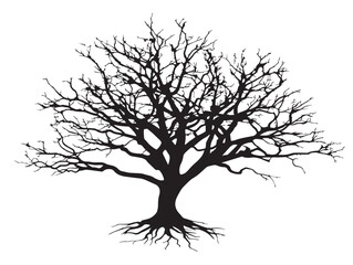 Obraz premium Chilled Frosted Tree Silhouette For Cold Climate Themed Projects