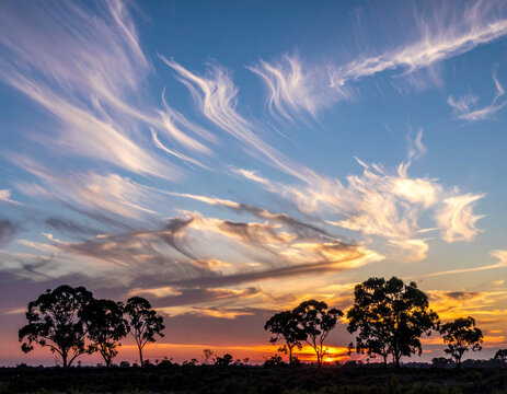 Sunset clouds over Australian outback trees