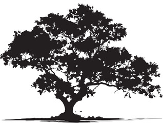 Fototapeta premium Impressive Giant Mangrove With Tangled Roots Vector Illustration