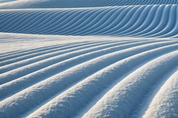 Form and Texture: A Field of Tiny Geometric Patterns