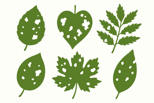Collection of leaf illustrations with pest damage on white background