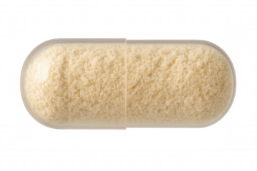 Transparent capsule containing powder for medicine, supplement, or herbal remedy on a transparent background