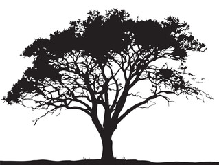 Obraz premium Peaceful Isolated Tree on Plain Black Silhouette