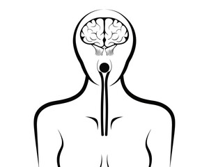 Stylized depiction of a human figure with visible brain and internal connection lines in black and white | editable eps vectors silhouette