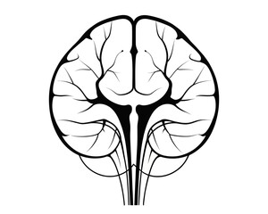 Anatomical illustration of a brain with intricate branching veins and arteries in black and white design | editable eps vectors silhouette
