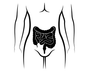 Illustration showing human torso with intestines in black on white background anatomy diagram of body | editable eps vectors silhouette