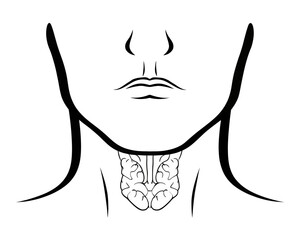 Illustration of a human face and neck showing the location of the thyroid gland in black and white art | editable eps vectors silhouette