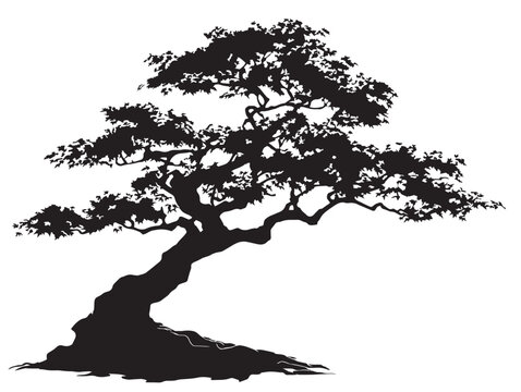Graceful Japanese Maple Silhouette Minimalist Vector Artwork