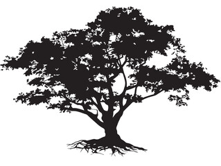 Elegant Mahogany Tree with Spreading Roots Vector Artwork
