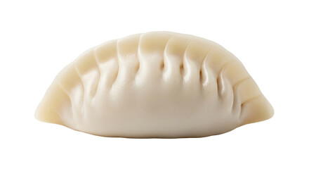 Isolated Gyoza a dumpling dish, typically filled with ground meat and vegetables, sealed