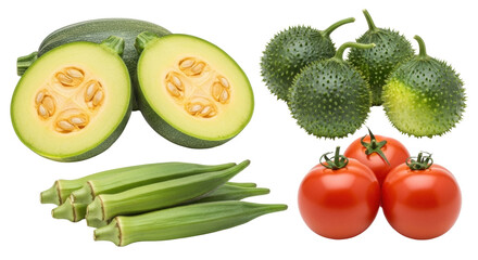 Isolated fresh vegetable group, summer harvest composition with tomatoes, okra, zucchini and gourd