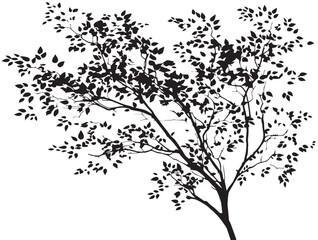 Leafy Branch Tree Silhouette Beautiful Botanical Vector Artwork