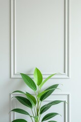 modern living room background