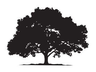 Artistic Mountain Maple Silhouette Showing Natural Balance