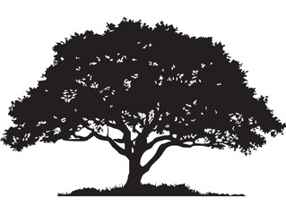 Mountain Pine Tree Silhouette Symbol of Strength and Calm
