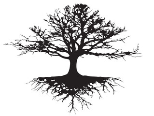 Ancient old tree with deep roots in a solid black silhouette