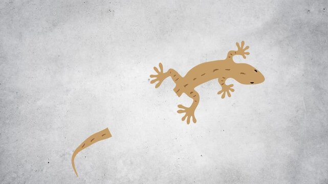 Geckos shed their tails as a self-defense mechanism when they feel threatened