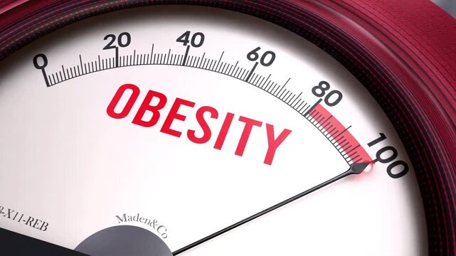 Obesity off the charts. Meter showing increasing,dangerous and high levels of obesity,potential overload. Maximum and critical obesity