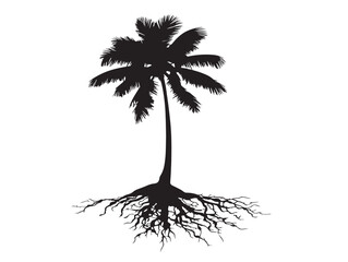 Island palm tree with extensive root system vector silhouette © beauti