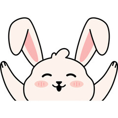 Bunny Face Illustration