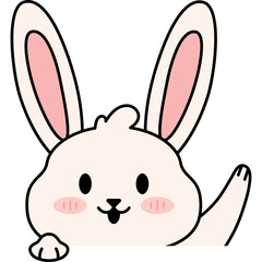 Bunny Face Illustration